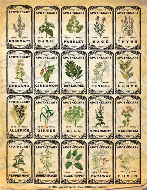 Free Printable Herb Labels